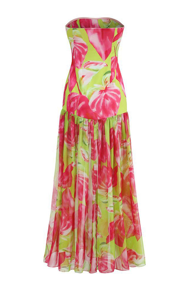 Pam Printed Strapless Slit Maxi Dress