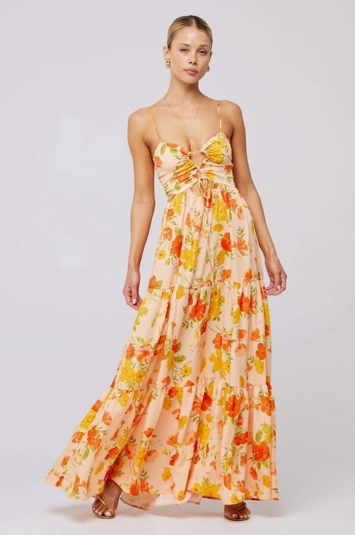 Beverly Printed Cut-out Maxi Slip Dress