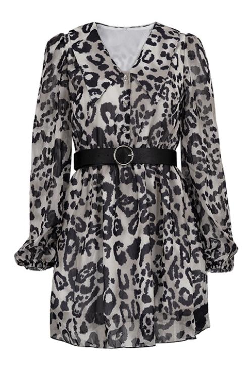 Gail Printed V-neck Belted Chiffon Mini Dress