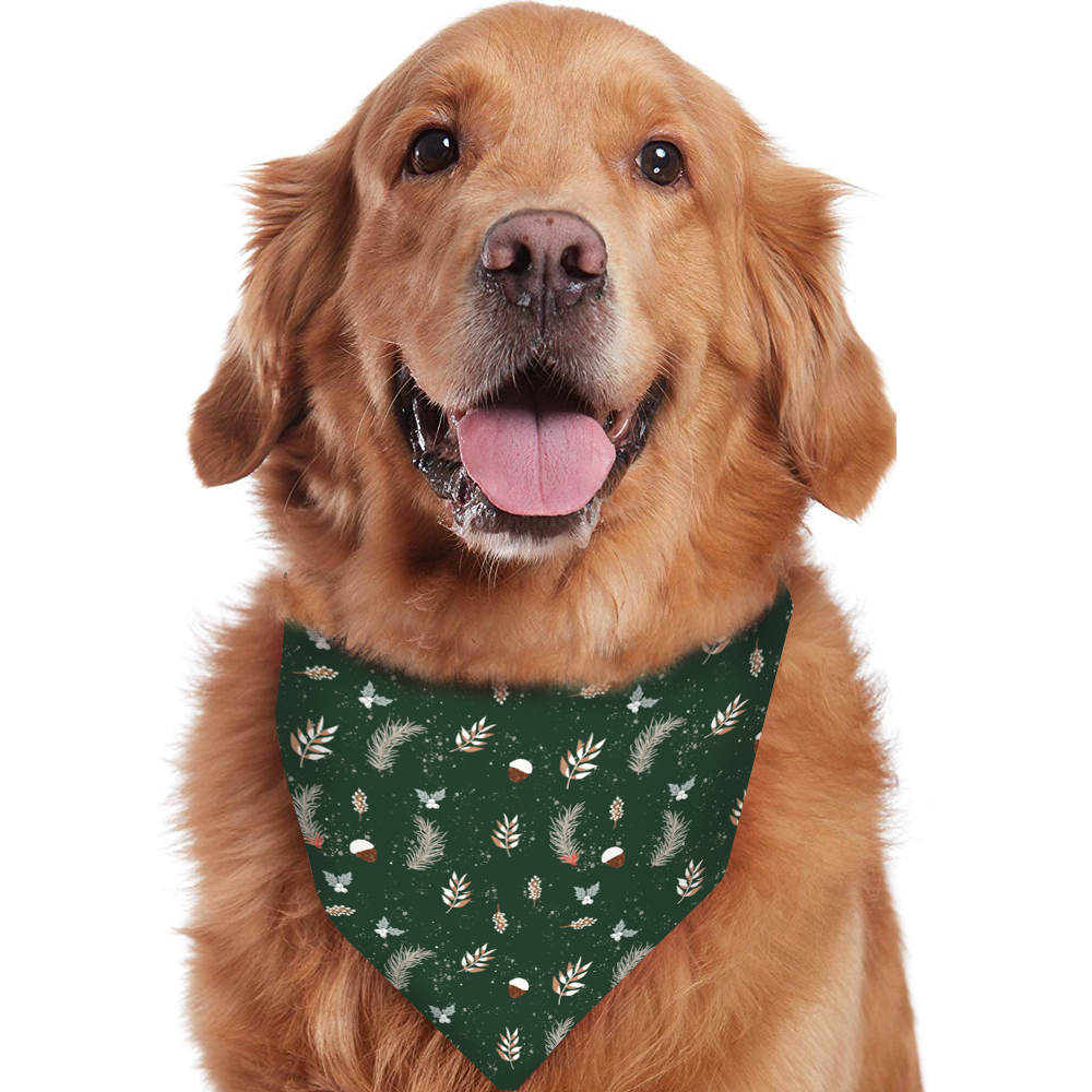 Grønt juletræ familiematchende pyjamas (med kæledyrs hundetøj)